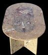 x Coffee Table With Fossil Orthoceras & Goniatites #52944-2